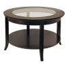 Genoa Coffee Table; Glass inset and shelf