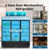 ORIKOOL Glass Door Merchandiser Refrigerator 70 Cu.ft Swing Door Commercial Display Refrigerators Merchandising Refrigeration with LED Top Panel