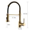 Single Handle Pull-Down Sprayer Kitchen Faucet in Gold
