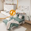Queen Size Murphy Bed Frame with Drawers Murphy Chest Bed with Charging Station