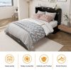Queen Size Murphy Bed Frame with Drawers Murphy Chest Bed with Charging Station